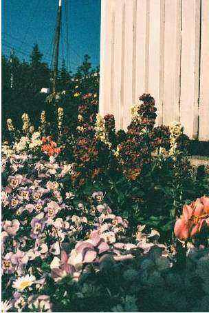 Bouquet estivo