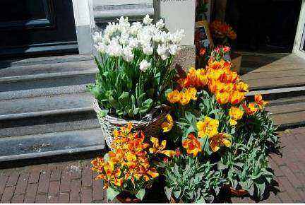 Composizione fiori stagionali
